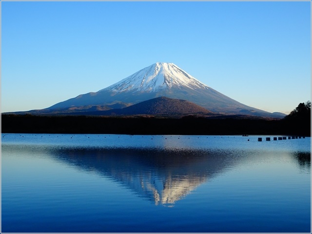 赤池 富士六湖 画像